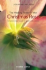 The Healing Power of the Christmas Rose : The Medicinal Value of Black Hellebore - Book