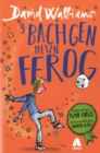 Bachgen Mewn Ffrog, Y - Book