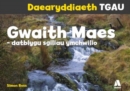 Daearyddiaeth TGAU: Gwaith Maes - Datblygu Sgiliau Ymchwilio - Book