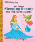 Sleeping Beauty & The Good Fairies - Book