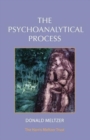 The Psychoanalytical Process - Book