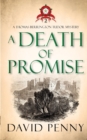 A Death of Promise - Book