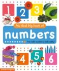 My First Big Book of Numbers - Book