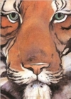 Jackie Morris Poster: Tiger - Book