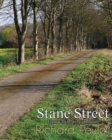 Stane Street : From Chichester to London - Book