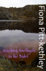 Washing Amethysts in the Bidet - Book