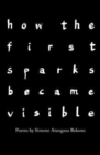 how the first sparks became visible - Book
