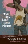 The Boy Lost in the Maze - Book