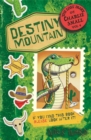 The Lost Diary of Charlie Small Volume 4 : Destiny Mountain - Book