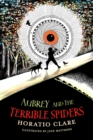 Aubrey and the Terrible Spiders - Book
