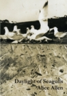 Daylight of Seagulls - Book
