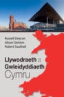 Llywodraeth a Gwleidyddiaeth Cymru - Book