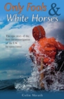Only Fools & White Horses - Book