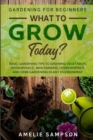 Gardening For Beginners : WHAT TO GROW TODAY? - Basic Gardening Tips To Growing Vegetables, Hydroponics, Mini Farming, Hydropopnics, and Herb Gardening In Any Environment - Book