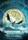 Northern Storm - Book