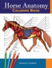Horse Anatomy - Book