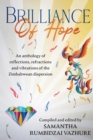 Brilliance of hope - eBook