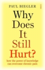 Why Does It Still Hurt? : how the power of knowledge can overcome chronic pain - Book