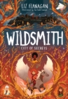 City of Secrets : The Wildsmith #2 - Book