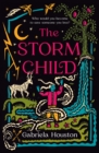 The Storm Child - Book