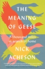 The Meaning of Geese : A Thousand Miles in Search of Home - eBook