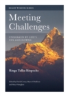 Meeting Challenges : Unshaken by Life's Ups and Downs - eBook