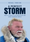 A Perfect Storm - eBook