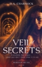 Veil of Secrets - Book