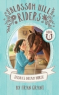 Sasha's Dream Horse - Book