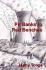 Pit Banks to Red Benches : From the Black Country to the Lords - Book