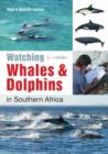 Watching Whales & Dolphins in Southern Africa - eBook