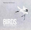 Birds in Pictures - Book