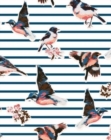 Flexi Journal : Birds with Stripes - Book