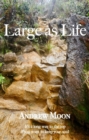 Large As Life : It's a long way to the top if you want to keep your soul! - eBook