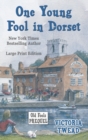One Young Fool in Dorset - LARGE PRINT : Prequel - Book