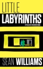 Little Labyrinths : Speculative Microfictions - Book