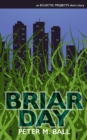 Briar Day - Book