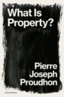 What is Property? : Property is Theft! - Book