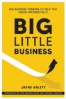 Big Little Business : Big Business Thinking to Help You Grow Exponentially - Book