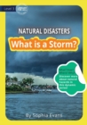 What Is A Storm? - Book