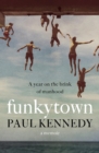 Funkytown : A year on the brink of manhood - eBook