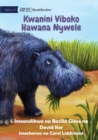 Why Hippos Have No Hair - Kwanini Viboko Hawana Nywele - Book