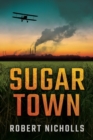 Sugar Town - Book