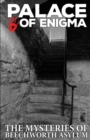 Palace of Enigma : The Mysteries of Beechworth Asylum - Book