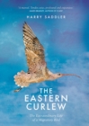 Eastern Curlew - eBook