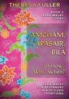 Amcham, Apasair, Bila or How, Why, When : Baba Malay for Beginners in Bite Sized Portions - Book