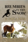 Brumbies in the Snow - eBook