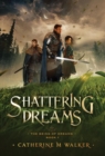 Shattering Dreams - Book