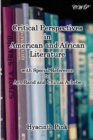Critical Perspectives in American and African Literature - Book
