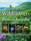 Guide to the Wildflowers of Western Australia : Over 1150 Plant Species Illustrated - Book